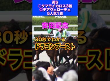 【安田記念2026】30秒でわかるドラゴンブースト