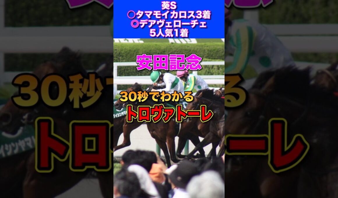 【安田記念2026】30秒でわかるトロヴァトーレ