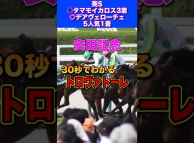 【安田記念2026】30秒でわかるトロヴァトーレ