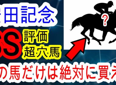 【競馬予想】安田記念2026　ダービー目黒記念W的中！！　上位人気馬は不安だらけなのでこの条件で激走する穴馬を教えます！！