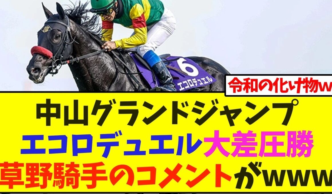 中山グランドジャンプ、エコロデュエル大差圧勝、草野騎手のコメントがwww【競馬】