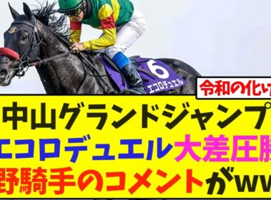 中山グランドジャンプ、エコロデュエル大差圧勝、草野騎手のコメントがwww【競馬】