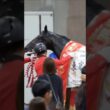皐月賞を勝ち、そして日本ダービーを勝ち遂に二冠達成のロブチェン。　三冠load最終章、期待を膨らませ次は秋の菊花賞へ。　#競馬　#東京競馬場　#日本ダービー　#ロブチェン　#三冠馬