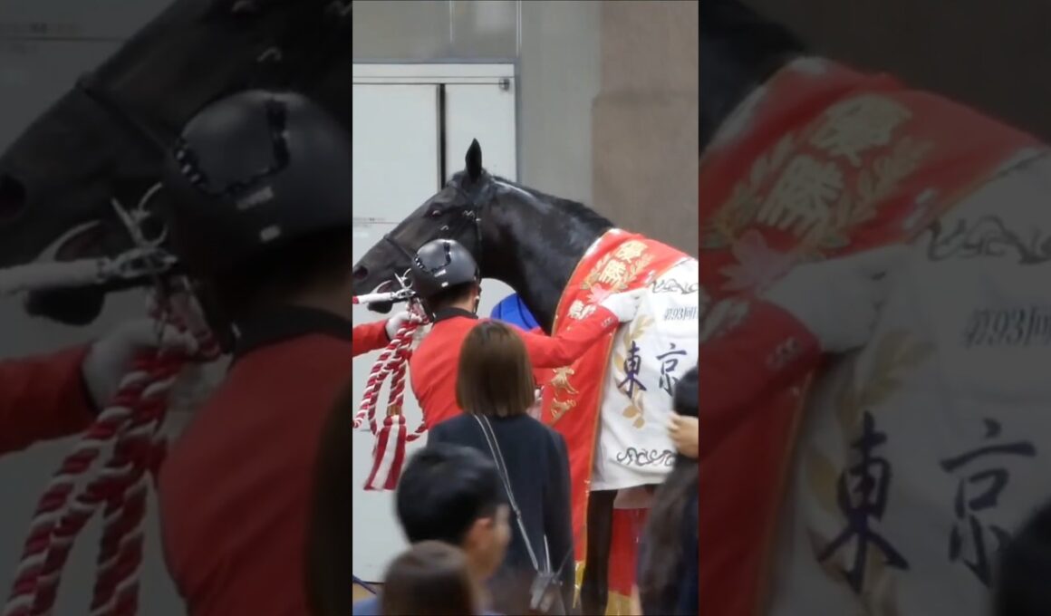 皐月賞を勝ち、そして日本ダービーを勝ち遂に二冠達成のロブチェン。　三冠load最終章、期待を膨らませ次は秋の菊花賞へ。　#競馬　#東京競馬場　#日本ダービー　#ロブチェン　#三冠馬