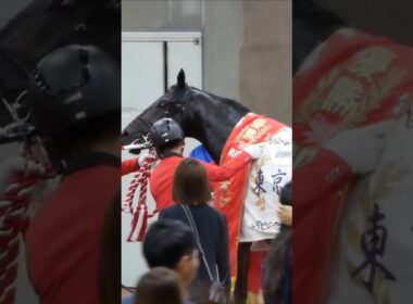 皐月賞を勝ち、そして日本ダービーを勝ち遂に二冠達成のロブチェン。　三冠load最終章、期待を膨らませ次は秋の菊花賞へ。　#競馬　#東京競馬場　#日本ダービー　#ロブチェン　#三冠馬