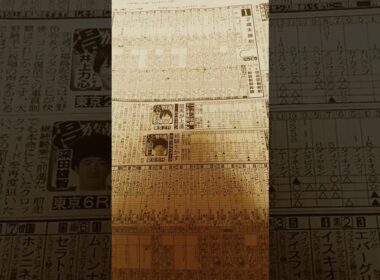 サイン暗号馬券万馬券的中 #マイルチャンピオンシップ