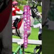 【ゴールドシップ物語②】13戦9勝の不沈艦が「猛獣ゴルシ」に豹変した日　強さと脆さの二面性