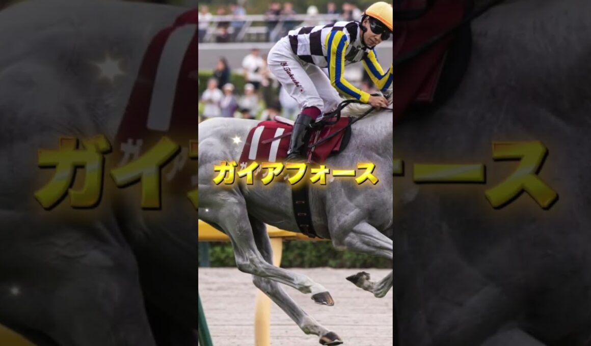 G1安田記念の注目馬を3頭紹介＃競馬＃競馬予想＃トロヴァトーレ＃ガイアフォース＃パンジャタワー