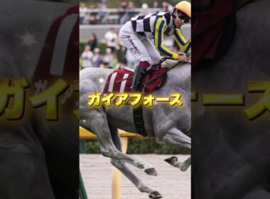 G1安田記念の注目馬を3頭紹介＃競馬＃競馬予想＃トロヴァトーレ＃ガイアフォース＃パンジャタワー