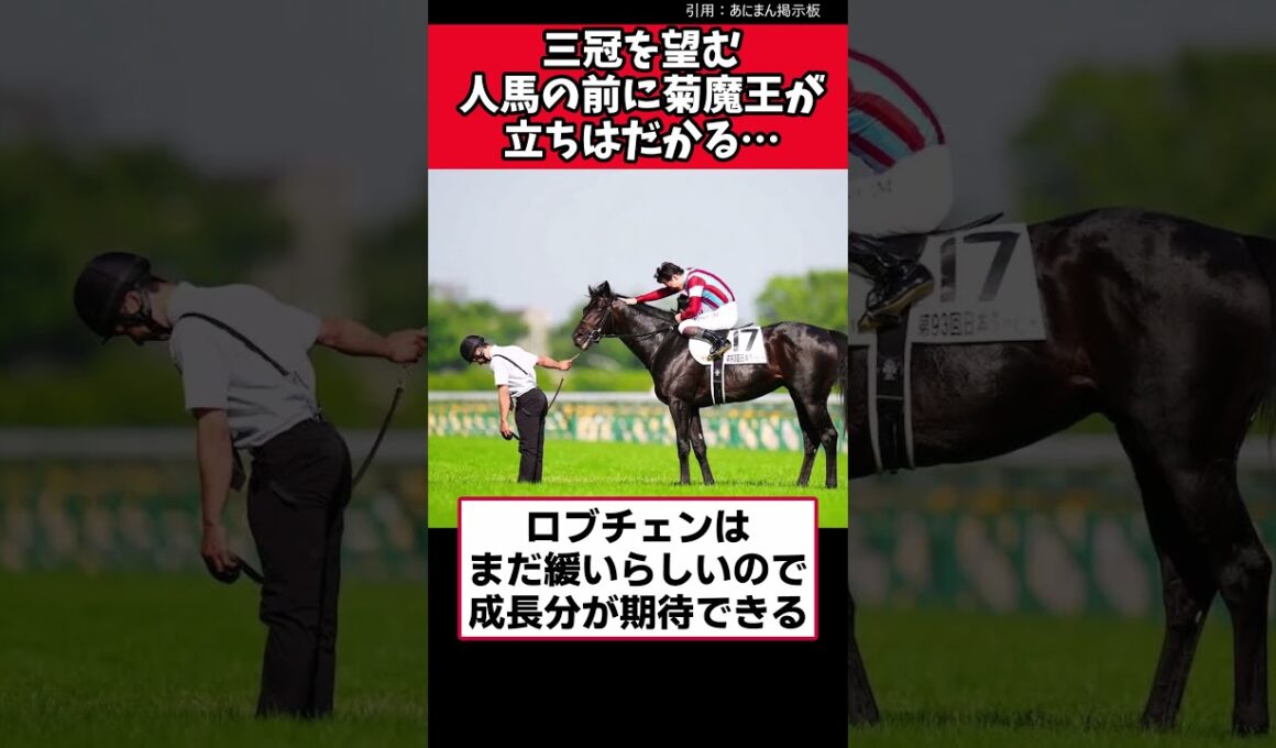 三冠を望む人馬の前に菊魔王が立ちはだかる…【競馬反応集】　＃ロブチェン　＃日本ダービー　＃菊花賞