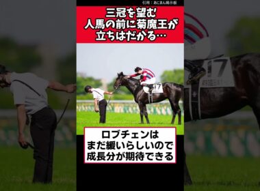 三冠を望む人馬の前に菊魔王が立ちはだかる…【競馬反応集】　＃ロブチェン　＃日本ダービー　＃菊花賞
