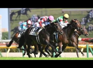 🐎ロブチェンが日本ダービー制覇！松山弘平、悲願の涙の瞬間🏆 #日本ダービー #ロブチェン #松山弘平 #競馬 #ダービー制覇 #二冠馬 #皐月賞 #菊花賞 #三冠馬 #競馬ニュース #JRA