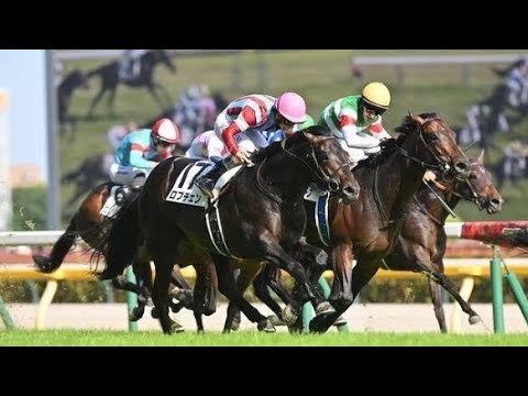 🐎ロブチェンが日本ダービー制覇！松山弘平、悲願の涙の瞬間🏆 #日本ダービー #ロブチェン #松山弘平 #競馬 #ダービー制覇 #二冠馬 #皐月賞 #菊花賞 #三冠馬 #競馬ニュース #JRA