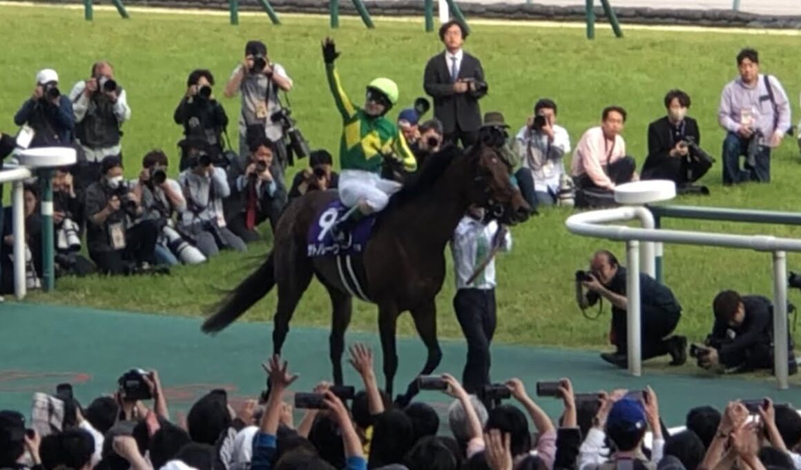 【現地】サトノレーヴ C.ルメール 2026 高松宮記念 長編 オープニング〜払戻金確定