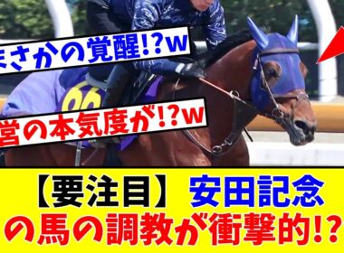 【安田記念】【要注目】あの馬の調教が衝撃的!?w