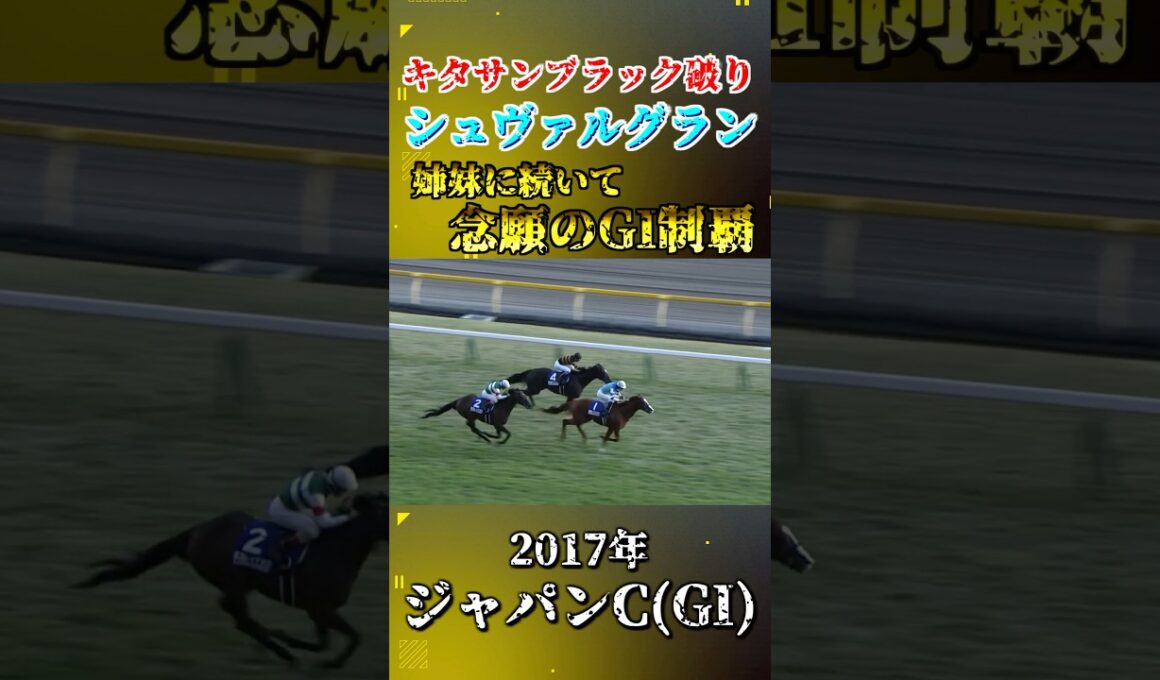シュヴァルグラン【2017年ジャパンカップ(GI)】#競馬 #shorts #ジャパンカップ #シュヴァルグラン