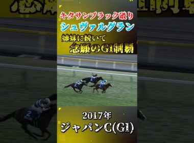 シュヴァルグラン【2017年ジャパンカップ(GI)】#競馬 #shorts #ジャパンカップ #シュヴァルグラン