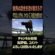 ダマスカス、ハビタット、ファインローズ、天皇賞(秋)制覇なるか⁉【1970－9の切り抜き動画】１９７０年、ダマスカス、ハビタット、ファインローズ出走‼#ウイニングポスト102026 #競馬