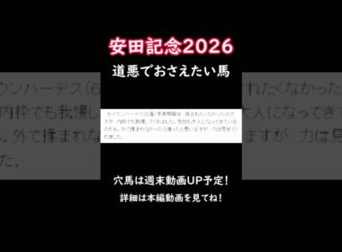 #安田記念 #競馬 #shorts