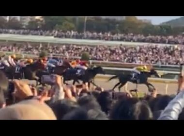 【ノーカット】天皇賞・秋2025 ゴール前現地レース映像 #マスカレードボール #ルメール #天皇賞秋