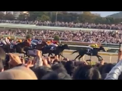 【ノーカット】天皇賞・秋2025 ゴール前現地レース映像 #マスカレードボール #ルメール #天皇賞秋