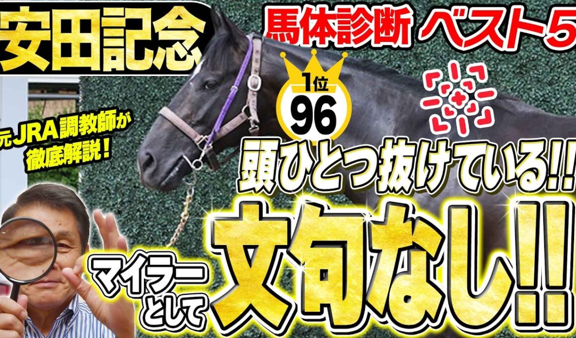 【安田記念2026】1位指名馬は頭ひとつ抜けたマイラー体型！中村均元調教師が馬体診断ベスト５を発表 ！《東スポ競馬》