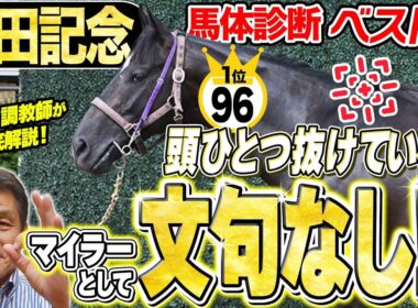 【安田記念2026】1位指名馬は頭ひとつ抜けたマイラー体型！中村均元調教師が馬体診断ベスト５を発表 ！《東スポ競馬》