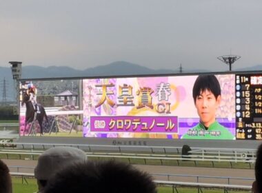 2026 天皇賞春 写真判定 確定の瞬間【現地】