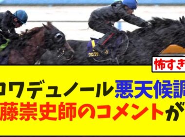 クロワデュノール悪天候調教斉藤崇史師のコメントが…【競馬】