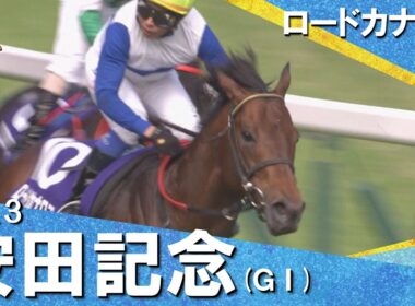 【最強スプリンターが２階級制覇】2013年安田記念 (ＧⅠ) ロードカナロア  岩田康誠【カンテレ公式】