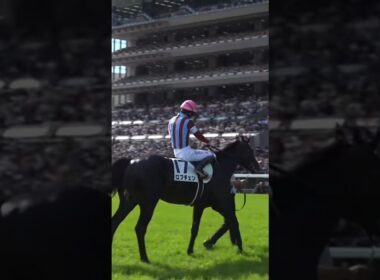 #shorts [最高の舞台で最速の馬がプレミアムの輝き] 2026 #皐月賞 #ロブチェン #松山弘平 #2冠馬 #3冠王手
