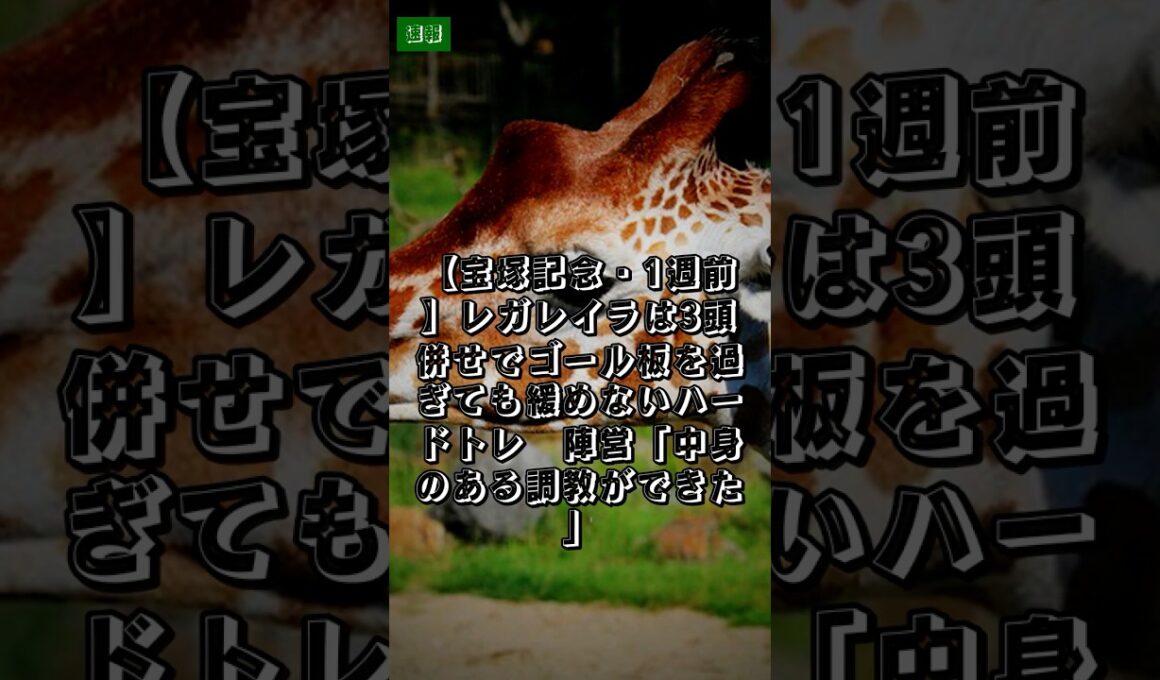6/3｜競馬ニュース｜【宝塚記念・1週前】レガレイラは3頭併せでゴール板を過ぎても緩めないハードトレ　陣営「中身のある調教ができた」 #Shorts