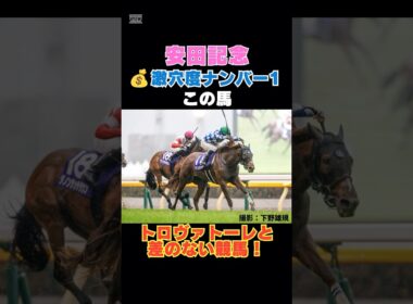 【安田記念2026】激穴度ナンバー1はこの馬💰トロヴァトーレと差のない競馬！