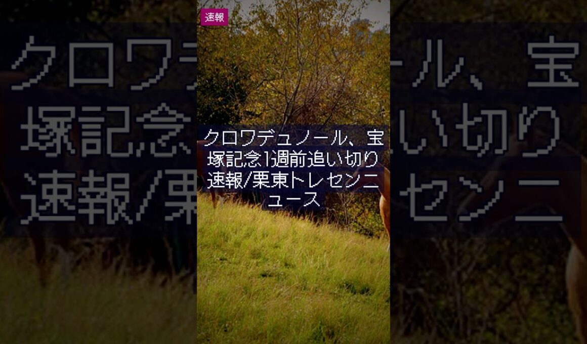 クロワデュノール、宝塚記念1週前追い切り速報/栗東トレセンニュース｜競馬情報 2026年6月3日 #Shorts