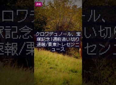 クロワデュノール、宝塚記念1週前追い切り速報/栗東トレセンニュース｜競馬情報 2026年6月3日 #Shorts