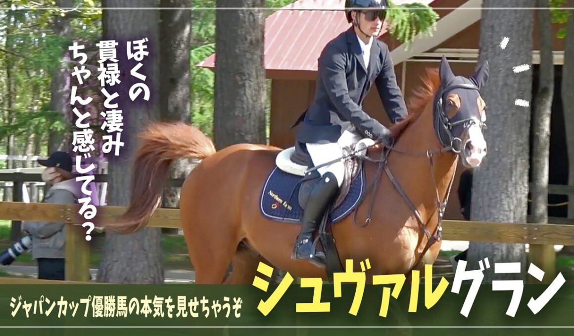 【シュヴァルグラン】ジャパンカップで優勝した彼の「華麗なジャンプ」を全力で眺める日【第40回北海道新緑馬術大会】