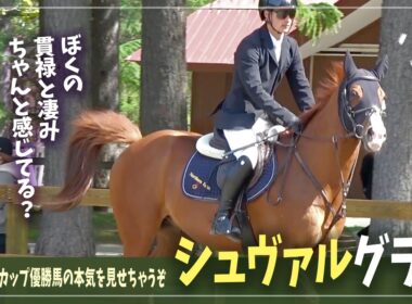 【シュヴァルグラン】ジャパンカップで優勝した彼の「華麗なジャンプ」を全力で眺める日【第40回北海道新緑馬術大会】