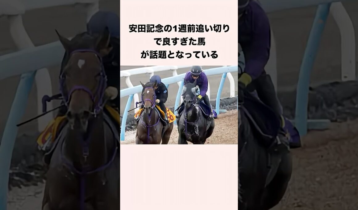 安田記念の1週前追い切りで良すぎた馬が話題となっている #競馬 #競馬予想 #shorts