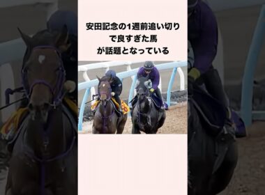 安田記念の1週前追い切りで良すぎた馬が話題となっている #競馬 #競馬予想 #shorts