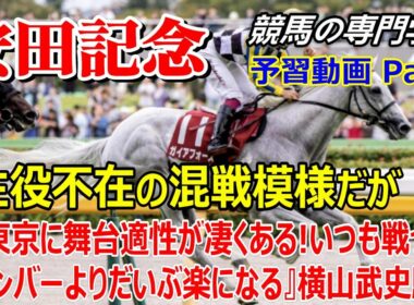 【安田記念2026】予習動画 Part2 ガイアフォースGⅠ載冠に最大のチャンス！注目のJRAプレレーティング【競馬の初心者の方にもわかりやすく解説】