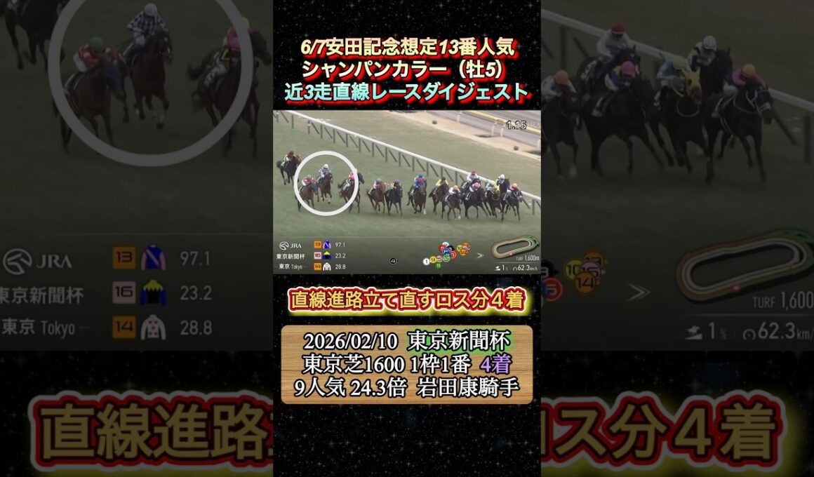 【シャンパンカラー】 安田記念想定13番人気！近3走ダイジェスト　#競馬  #安田記念  #シャンパンカラー  #岩田康成  #shorts