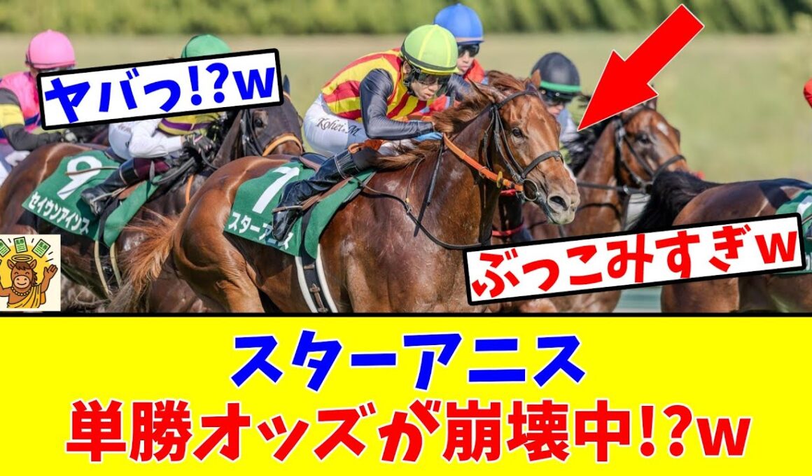 【阪神JF】【過剰人気中!?】スターアニスの単勝オッズが崩壊してしまっている件についてwww