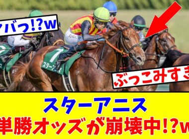 【阪神JF】【過剰人気中!?】スターアニスの単勝オッズが崩壊してしまっている件についてwww