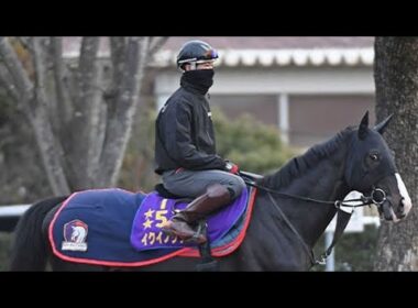 🏇歴史か逆襲か…宝塚記念2026が熱すぎる！🔥💯🔥🐎🔥💯🥰