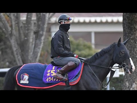 🏇歴史か逆襲か…宝塚記念2026が熱すぎる！🔥💯🔥🐎🔥💯🥰