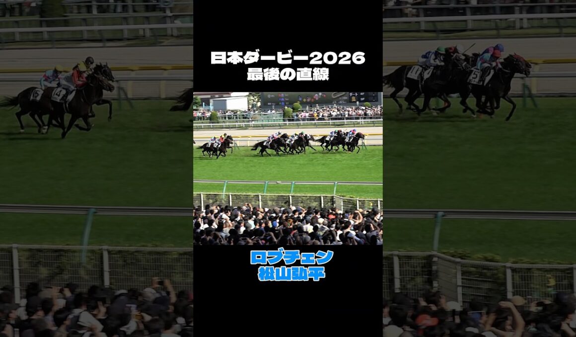【日本ダービー2026】最後の直線 ロブチェン 松山弘平 #shorts #競馬 #日本ダービー