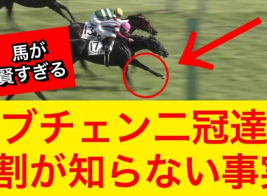 【日本ダービー2026】ロブチェン二冠達成！強すぎる内容だった…【競馬の反応集】