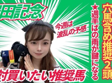 【安田記念2026】全頭診断から浮かぶ狙いの2頭とは？【競馬予想】
