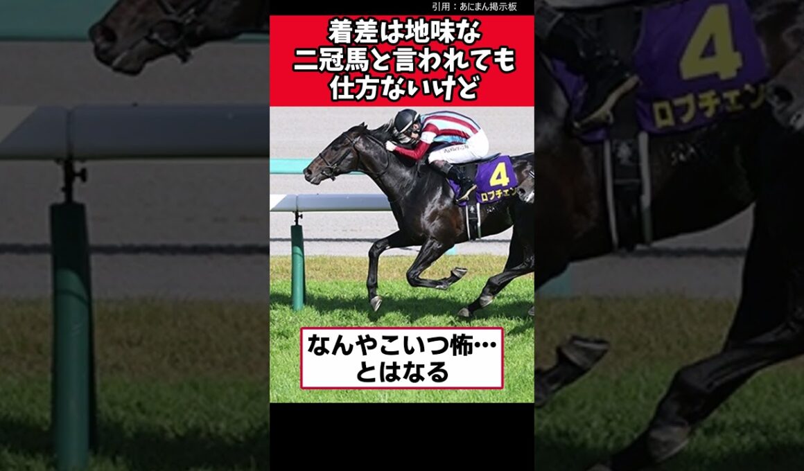 着差は地味な二冠馬と言われても仕方ないけど【競馬反応集】　＃ロブチェン　＃日本ダービー　＃菊花賞