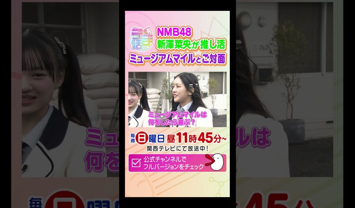 宝塚記念へ！有馬記念のヒーロー・ミュージアムマイル号に会ってきた！　#カンテレ競馬　#うま活　#競馬BEAT　#競馬　#NMB48　#shorts